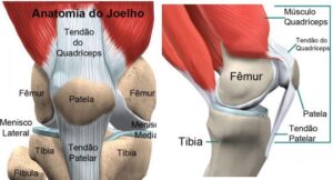 A Importância da Fisioterapia Guiada por Profissionais - inspiração 2
