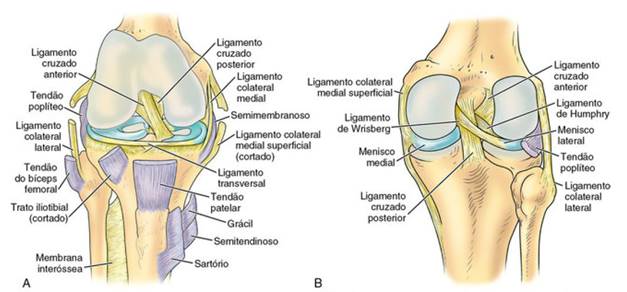 Injeções Terapêuticas: Quando Considerar Essa Alternativa? - inspiração 2