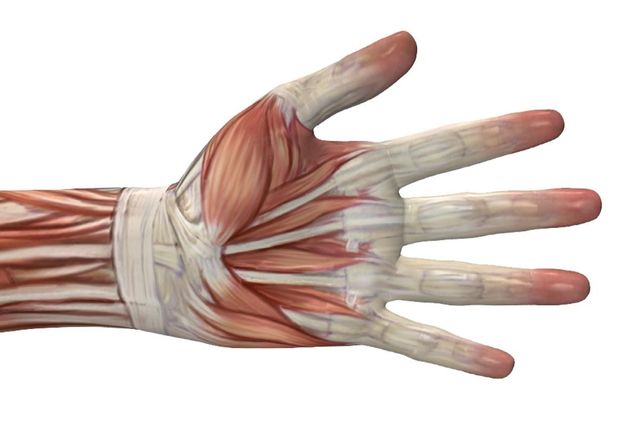 O Papel da Fisioterapia na Sua Recuperação Completa - inspiração 1