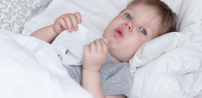 Alimentação e Tosse: O Que Oferecer ao Seu Bebê - inspiração 1