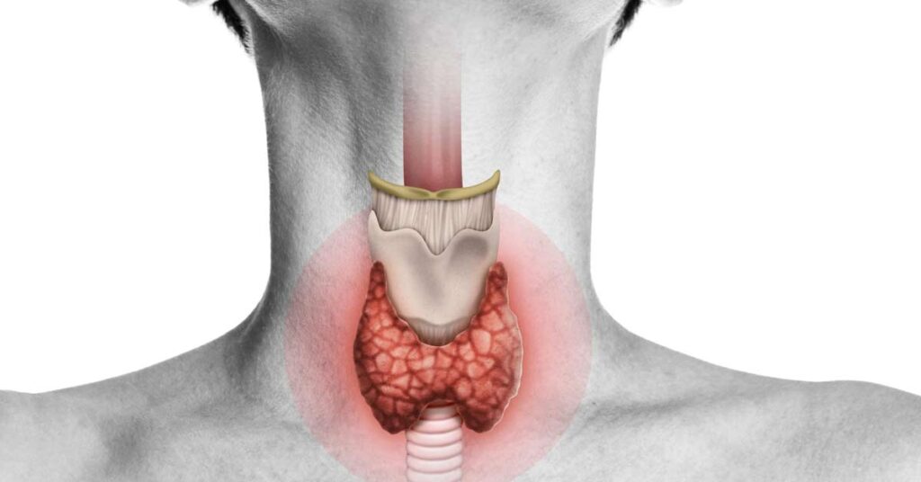 Nutrientes Cruciais Que Fazem a Diferença - inspiração 2