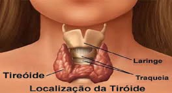 O Impacto do Sono na Regulação Hormonal - inspiração 1