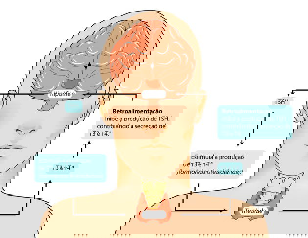 Cuidado com Interações: Medicamentos e Suplementos - inspiração 2