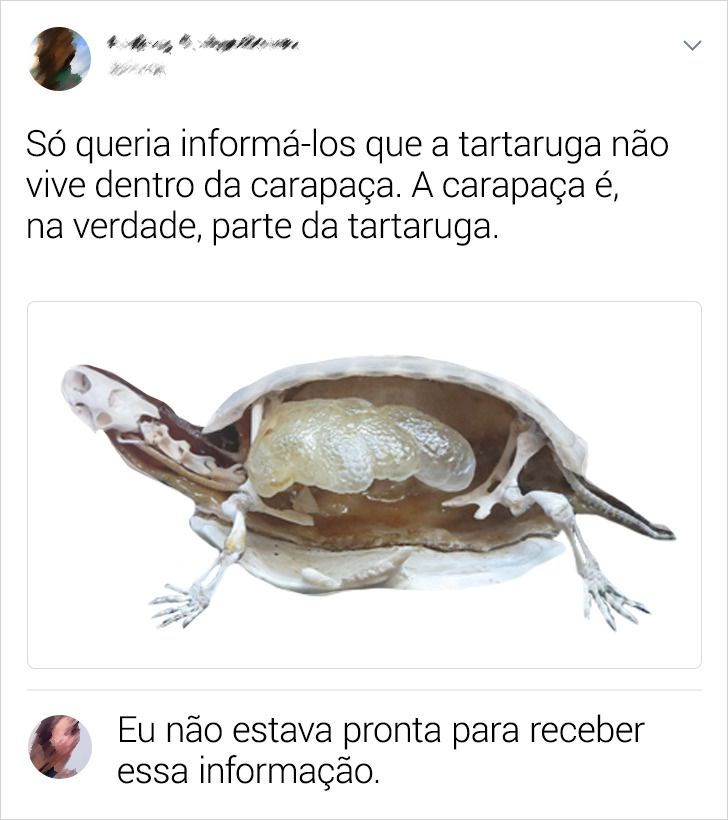 O som mais alto já registrado - inspiração 2