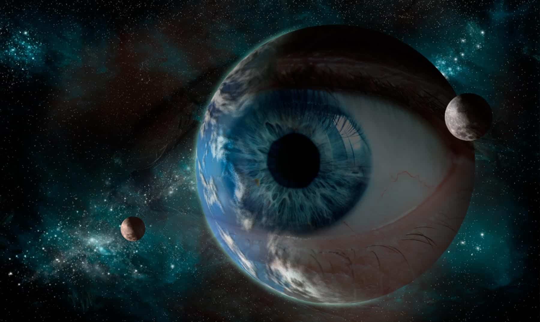 O animal que pode viver para sempre - inspiração 1