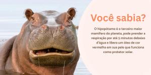 A moeda mais antiga ainda em circulação - inspiração 1