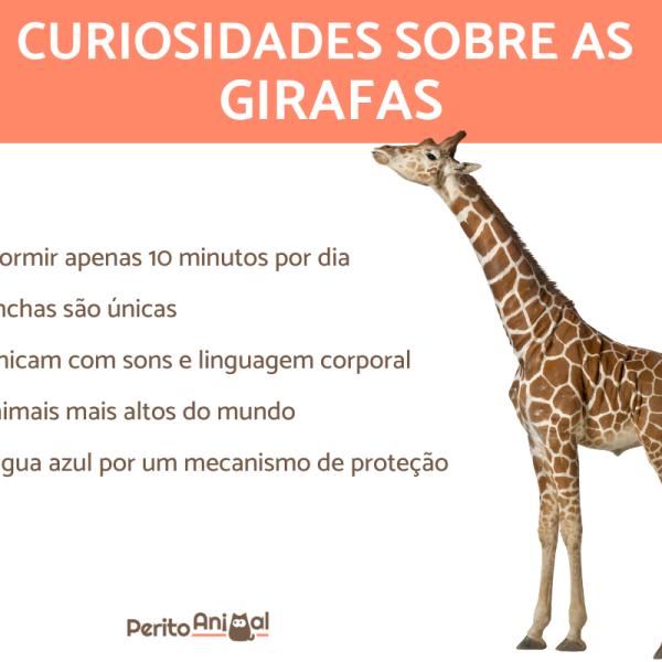 A moeda mais antiga ainda em circulação - inspiração 2