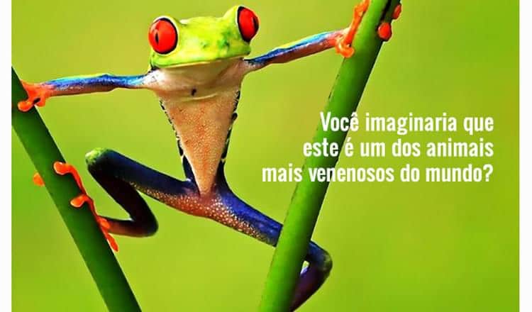 O país com mais pirâmides - inspiração 1
