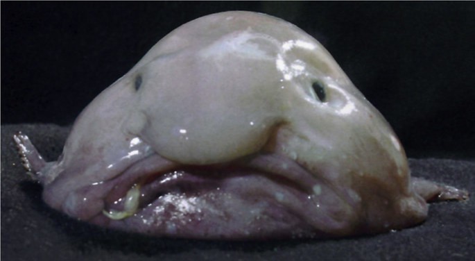 A cor do céu em outros planetas - inspiração 1