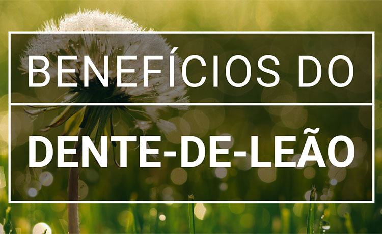 Bem-Estar Geral: Energizante Natural e Aliado Contra o Cansaço - inspiração 1