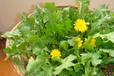 Pele Radiante: Benefícios Tópicos e Internos Para Um Visual Saudável - inspiração 2