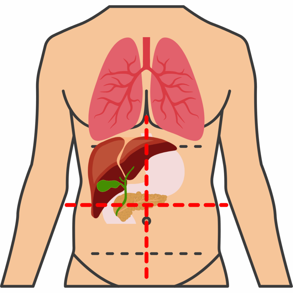 Pedra nos Rins (Cálculo Renal): A Dor Que Irradia - inspiração 1