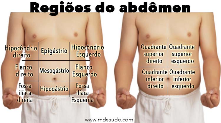 Hérnias Abdominais: O Que Você Precisa Saber - inspiração 1