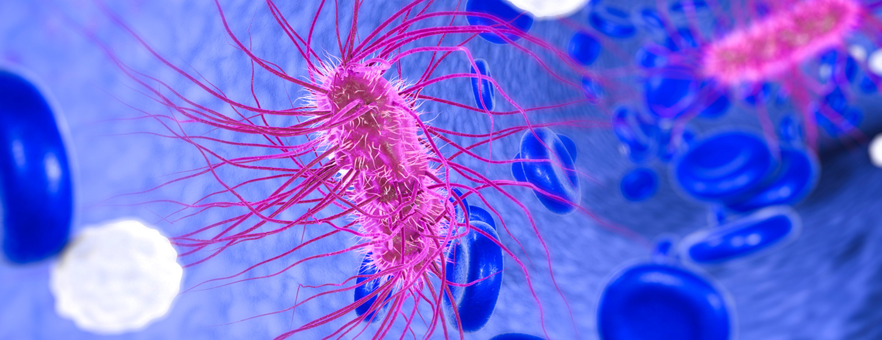 Higiene das Mãos: Seu Escudo Protetor Diário - inspiração 2