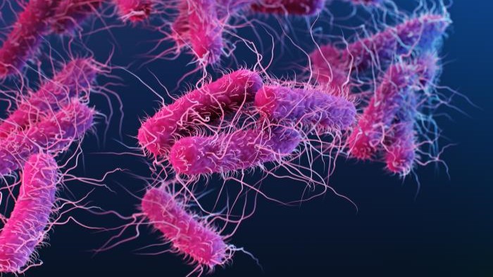 Água Potável: A Fonte que Deve Ser Confiável - inspiração 2