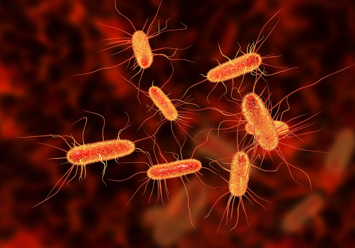 Atenção Redobrada em Feiras e Mercados - inspiração 1