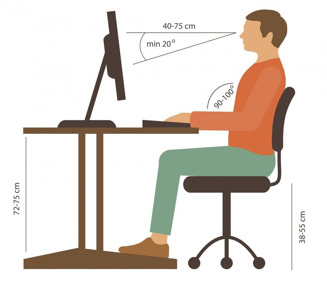 Apoio Lombar: Essencial para uma Coluna Saudável - inspiração 1