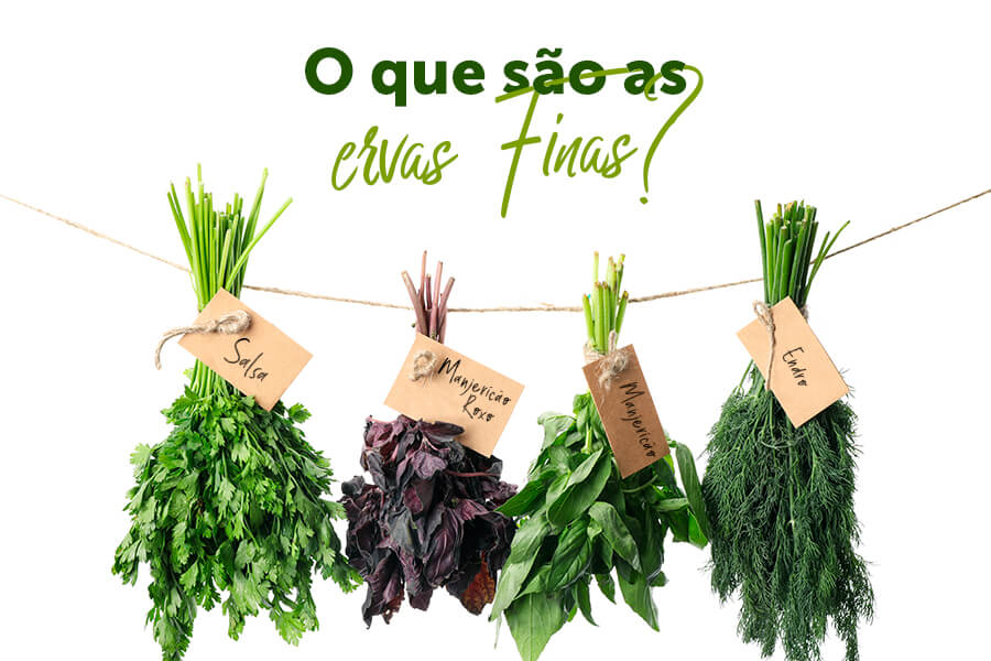 Controle Natural de Pragas: Diga Adeus aos Insetos! - inspiração 1
