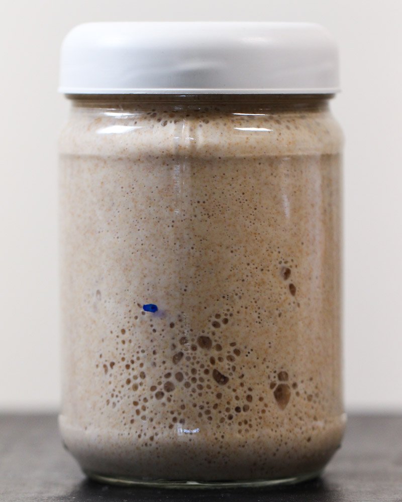 Controle de temperatura: o segredo para a fermentação ideal - inspiração 2