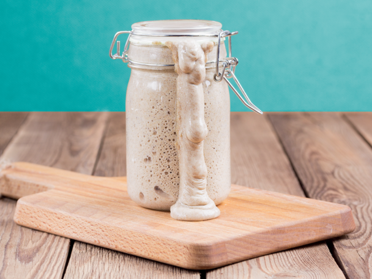 Armazenamento e conservação do seu levain - inspiração 2