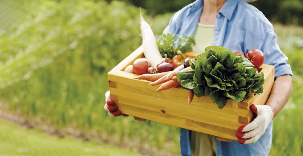 Como começar a reduzir o desperdício de alimentos em casa? - inspiração 1