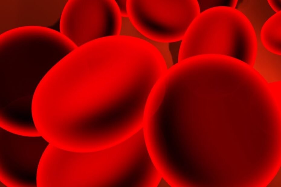 Entendendo a Faixa de Referência: Valores Ideais para Você - inspiração 2