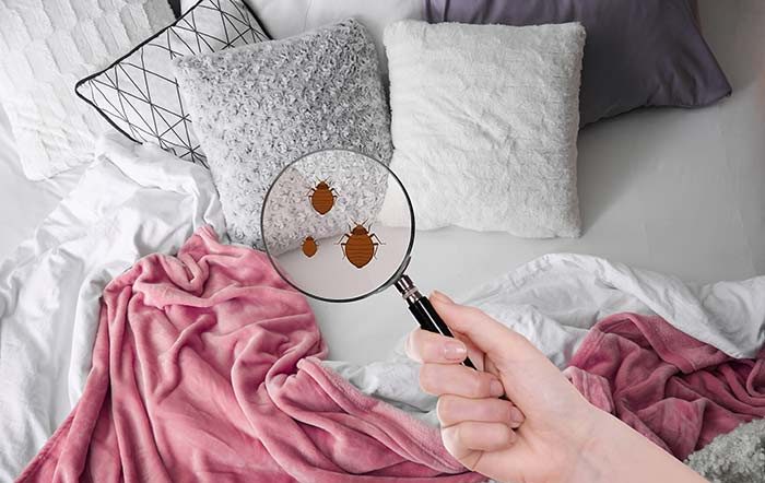 Frequência Ideal para Trocar Lençóis e Fronhas: Por Que é Crucial? - inspiração 1