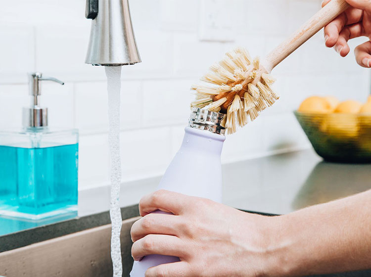 Evitando Mofos e Bactérias com a Tampinha Limpa - inspiração 1