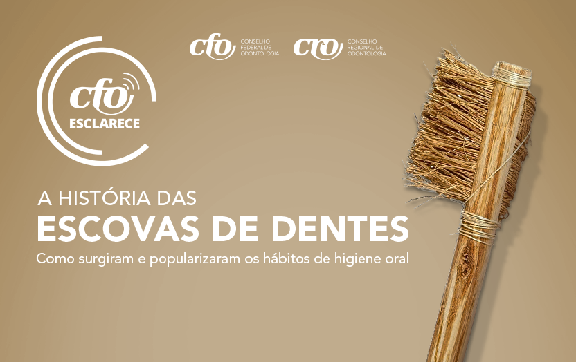 O papel da pasta de dente na higiene da escova: Mitos e verdades sobre resíduos. - inspiração 1