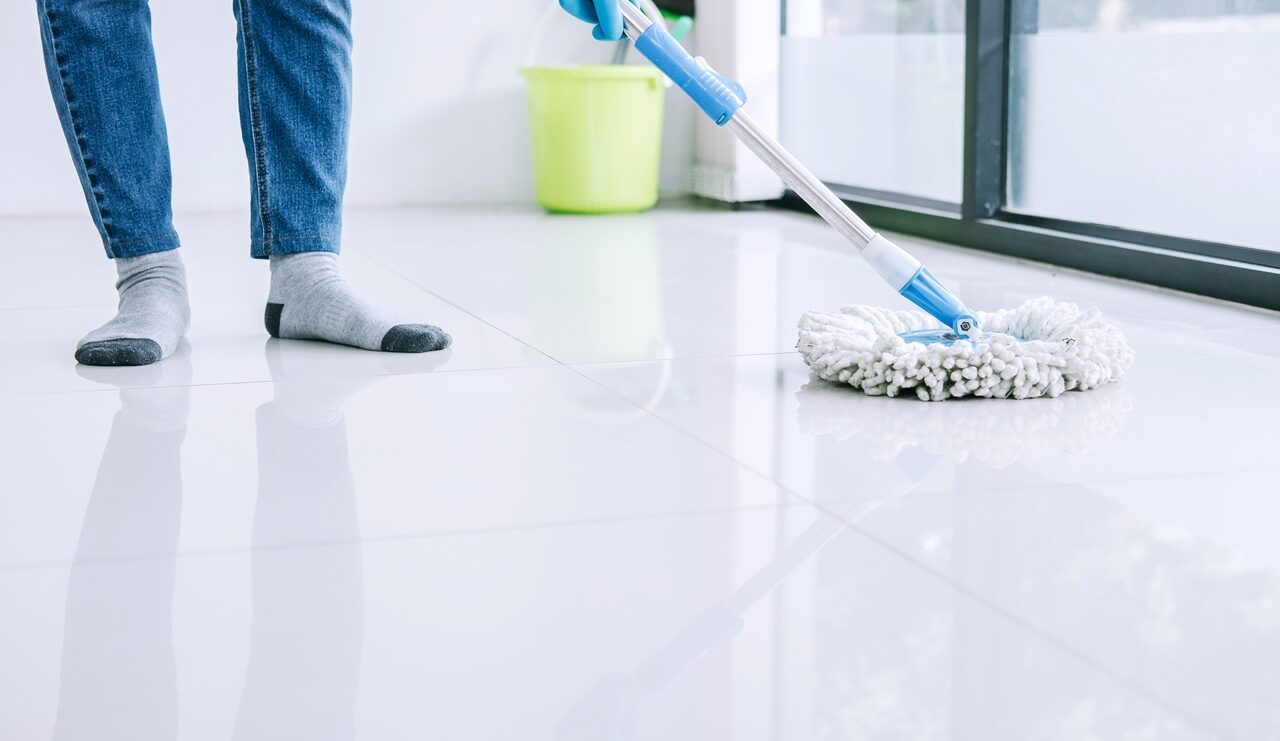 Produtos de Limpeza: Escolhas Inteligentes para Sua Saúde e o Planeta - inspiração 2