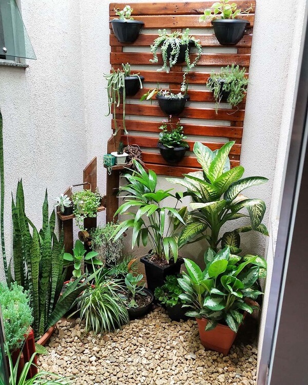 Escolhendo as Plantas Certas para o Seu Espaço - inspiração 1