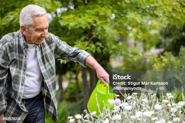 Acessibilidade e Adaptação: Ferramentas e Técnicas para Todos - inspiração 2