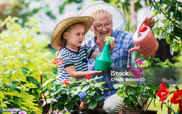 Melhora da Coordenação Motora Fina e Grossa - inspiração 2
