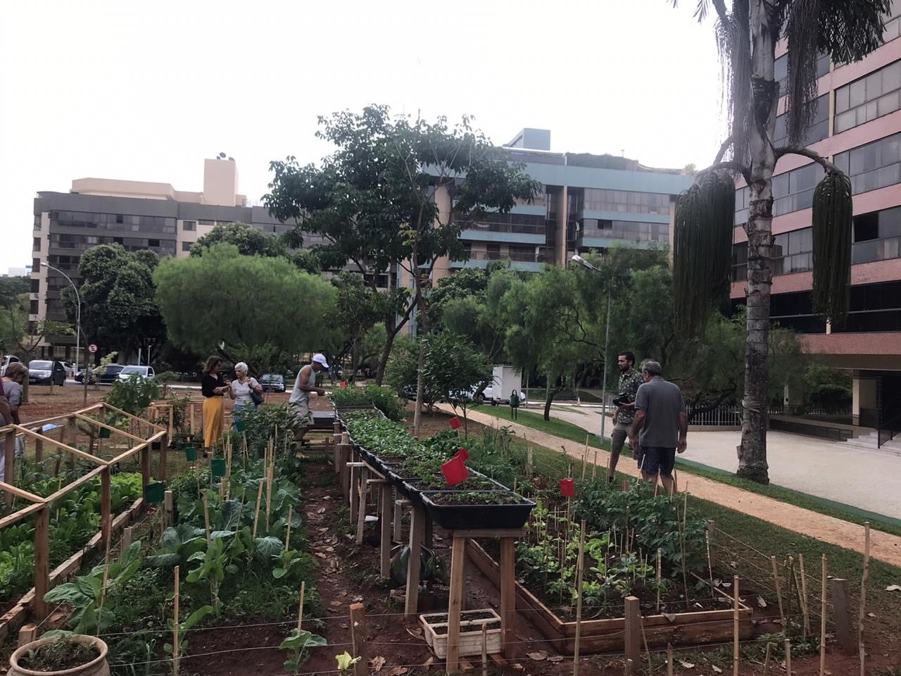 Estímulo à Memória e Cognição com Nomes e Cuidados das Plantas - inspiração 1