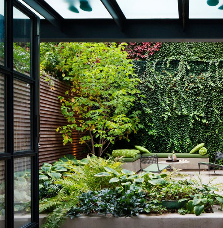 A Terra Perfeita: Preparando o Solo para o Sucesso das Suas Plantas - inspiração 1