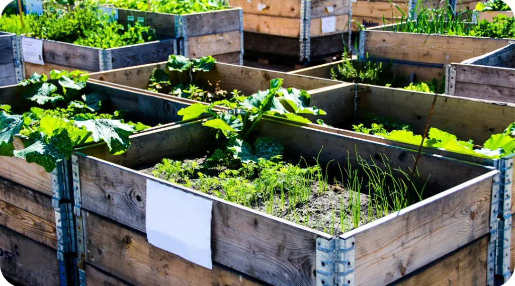 Irrigação Inteligente: Nem Demais, Nem de Menos, Como Acertar? - inspiração 1