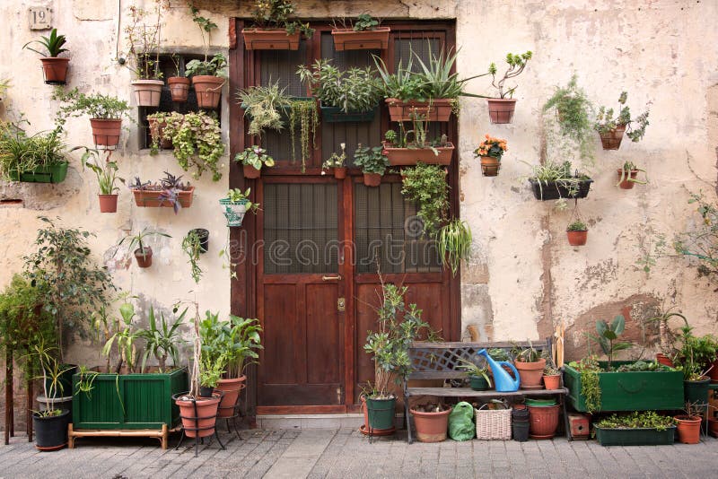 Luz Solar: Descubra a Quantidade Ideal para Cada Espécie - inspiração 1