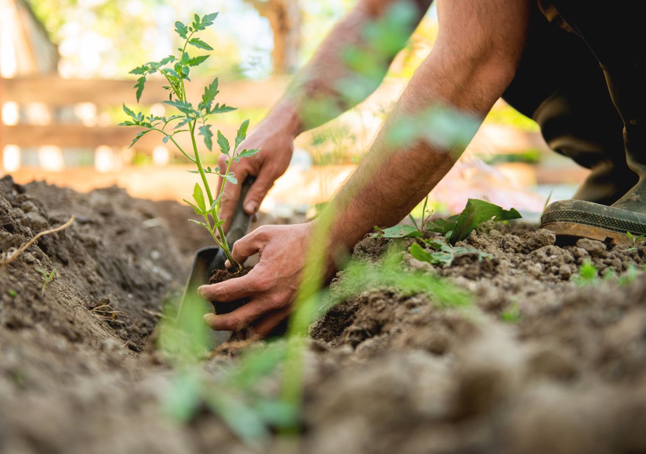 Manutenção Essencial: Cuidados Para Manter Tudo Lindo Sempre - inspiração 2