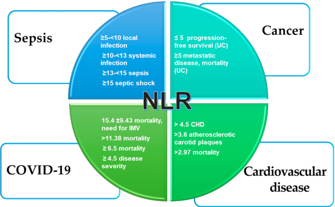 Seu Médico: O Aliado Essencial na Interpretação dos Resultados - inspiração 1