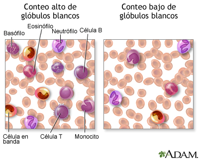Bactérias e Outros Micro-organismos: Uma Explicação Detalhada - inspiração 1