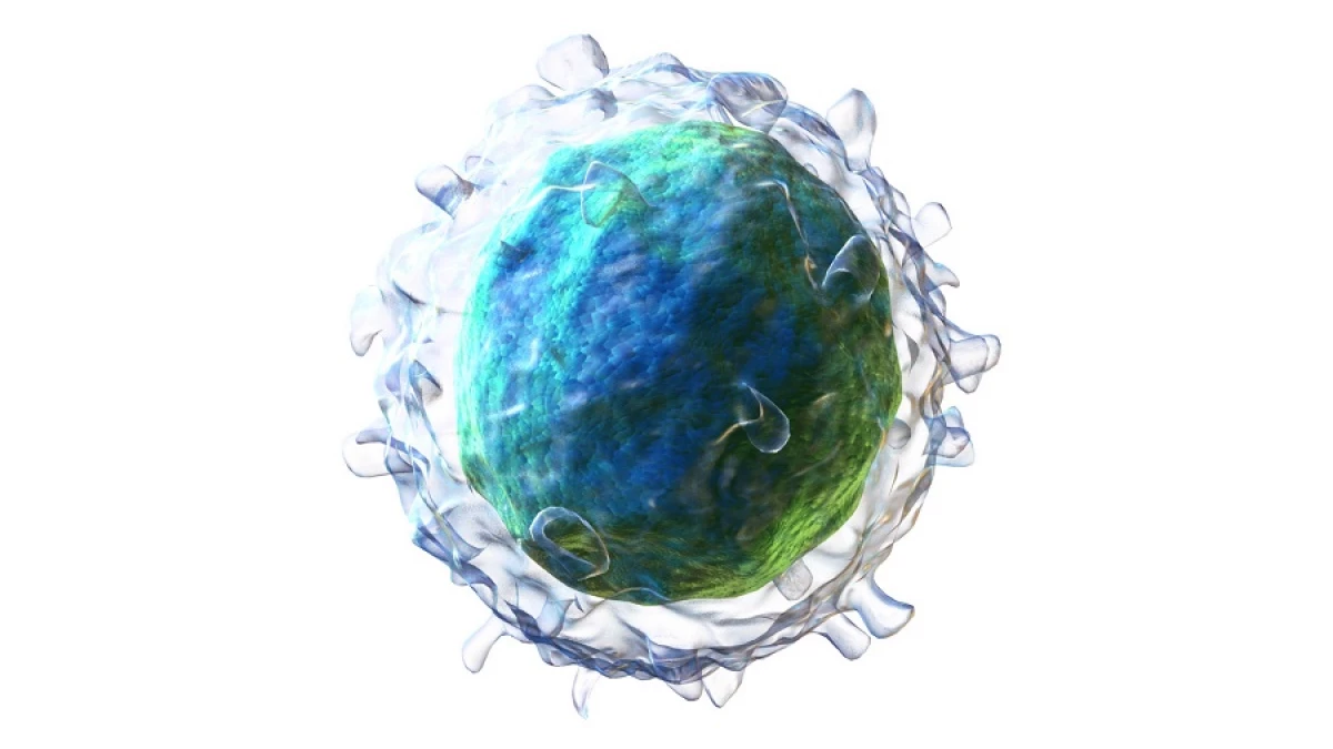 Fatores Não Infecciosos Que Podem Interferir nos Seus Linfócitos - inspiração 2