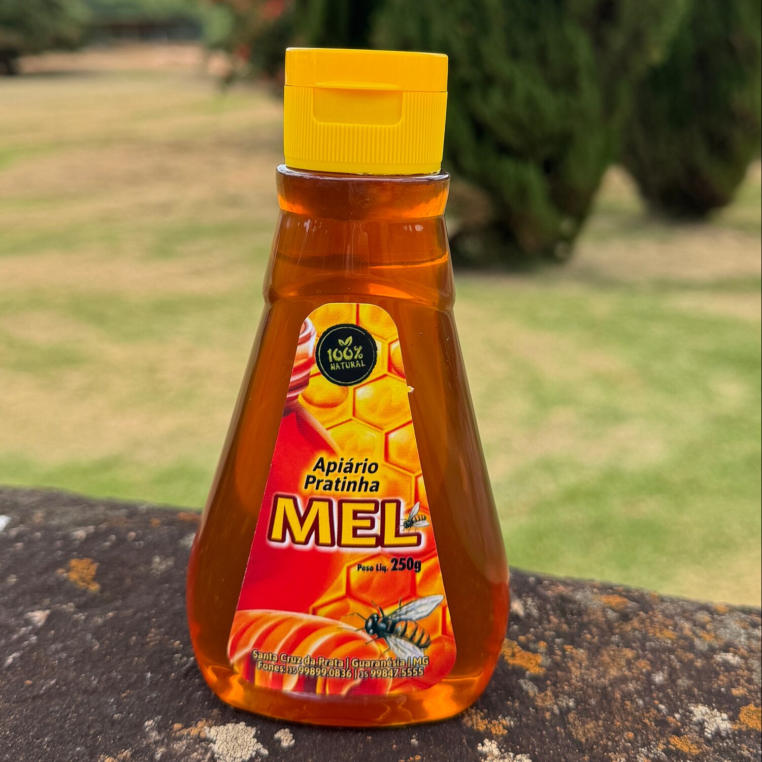 O Que Realmente Define o Mel Artesanal? - inspiração 2