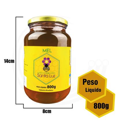 Apicultura Sustentável: Um Compromisso Com a Natureza e a Qualidade - inspiração 2