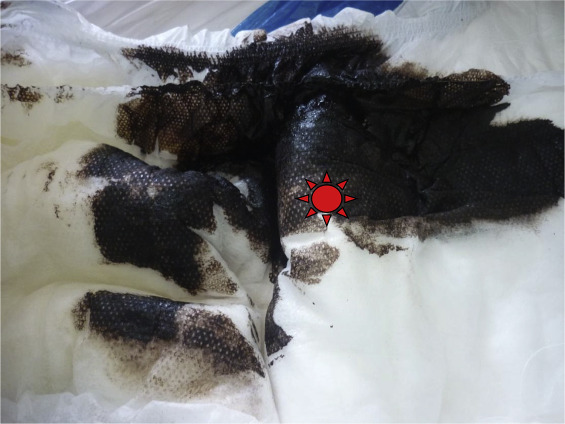 Hidratação Profunda: O Segredo para uma Melena Sedosa - inspiração 2