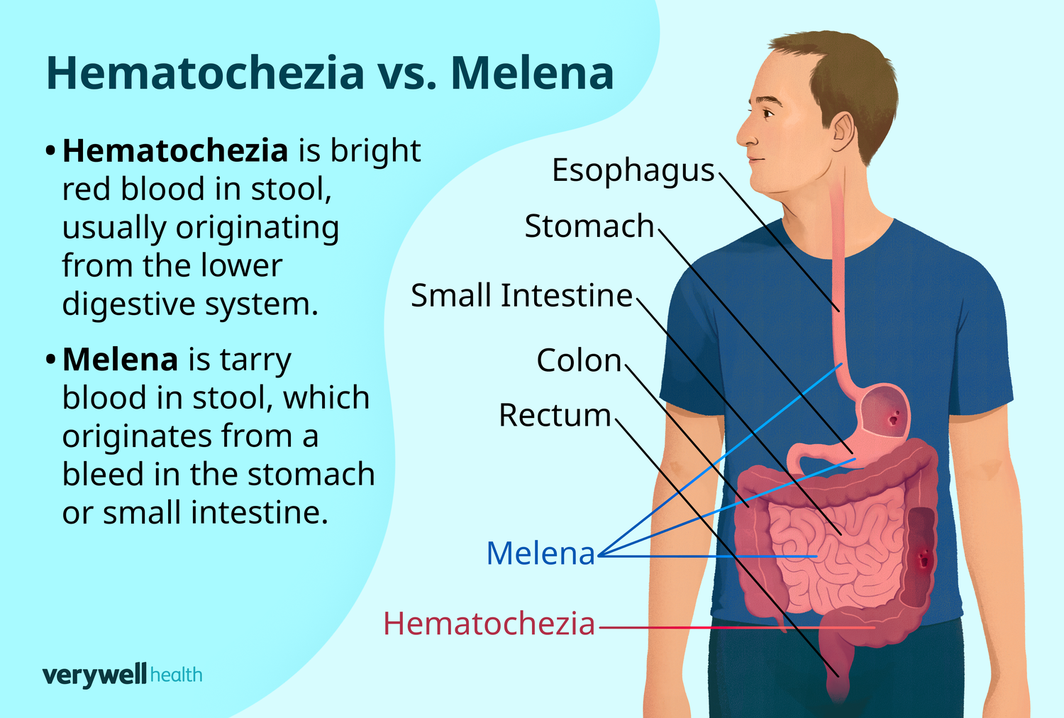 Nutrição que Transforma: Vitaminas e Proteínas em Ação - inspiração 1