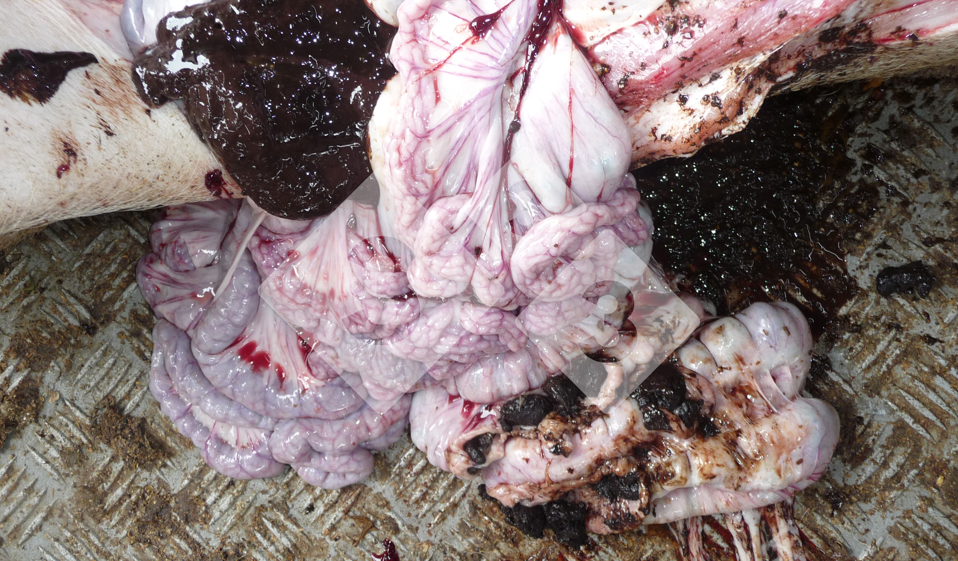 Proteção Contra o Calor: Aliados Essenciais no Dia a Dia - inspiração 1