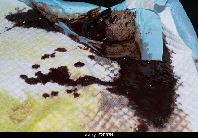 Alimentação e Bem-Estar: Influência Direta na Saúde Capilar - inspiração 1