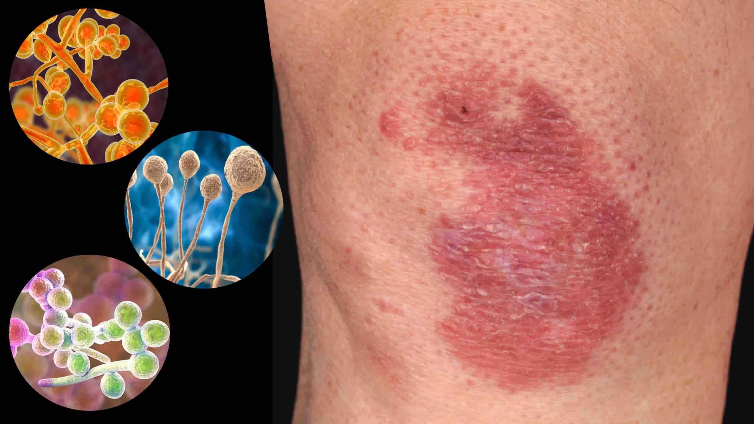 Quando Procurar o Médico: Sinais de Alerta - inspiração 2