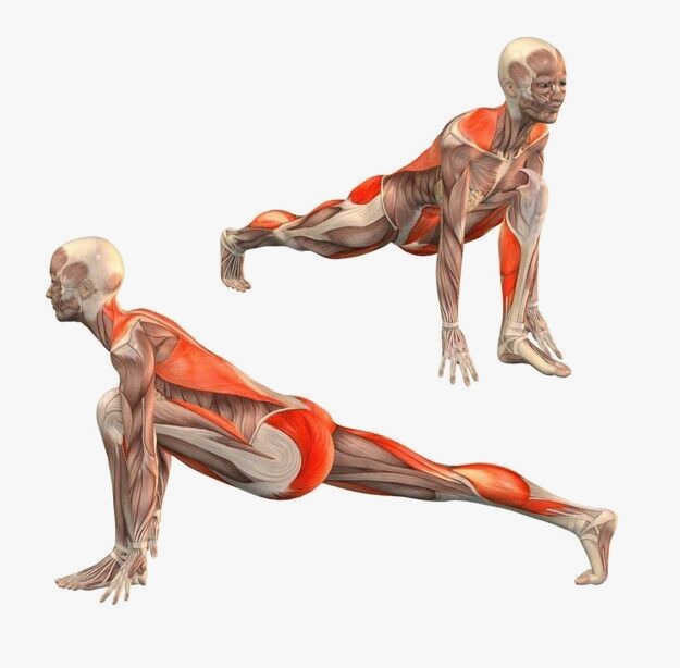 Fortalecendo a base: o papel dos tornozelos e joelhos - inspiração 1