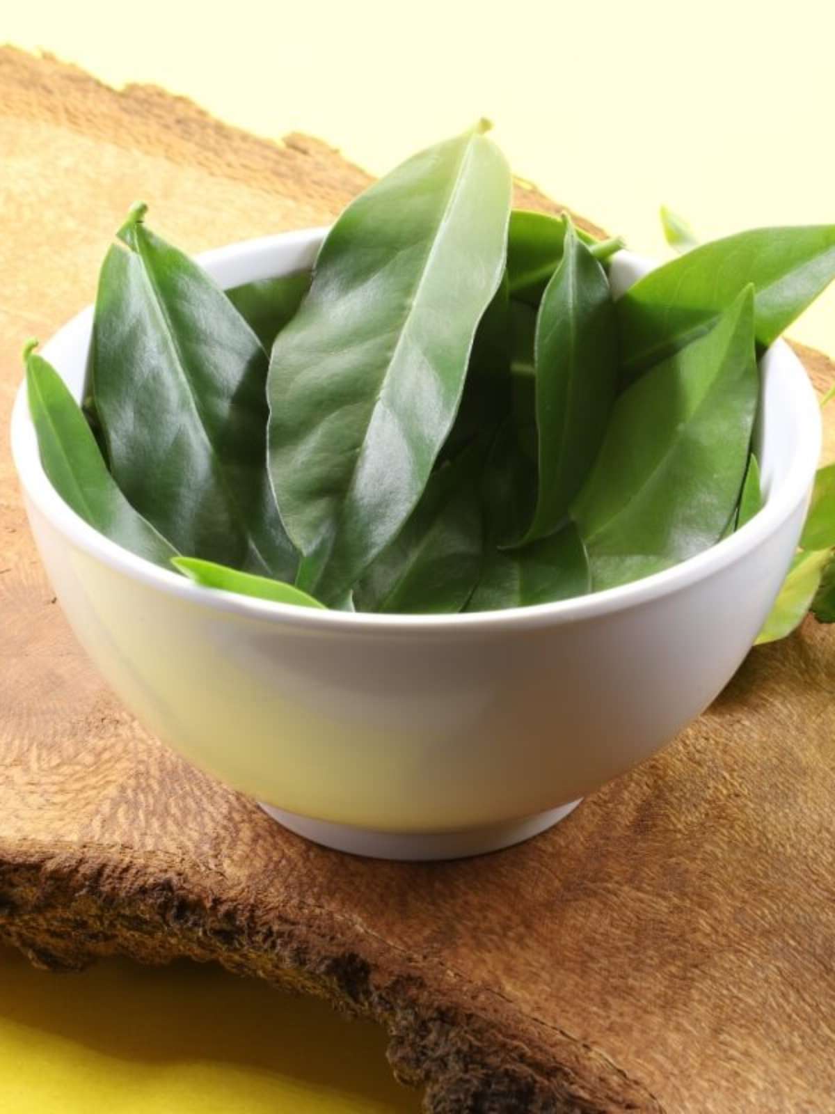 Onde Encontrar e Como Escolher Ora Pro Nobis de Qualidade - inspiração 1